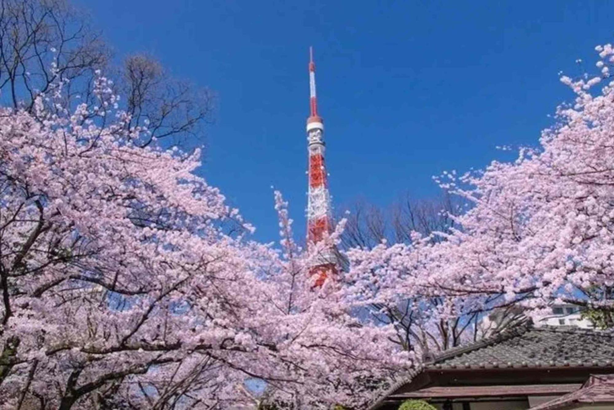 Five Room 120 Sky Tree Sensoji Freeparking 1292Sqft Tokyo Exterior photo